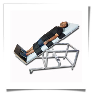 Camilla de BiPestación Adulto Motorizada